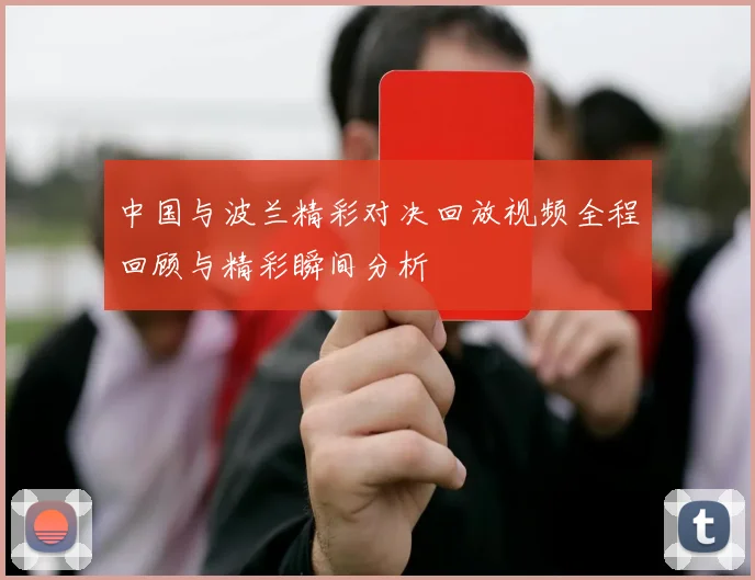 中国与波兰精彩对决回放视频全程回顾与精彩瞬间分析