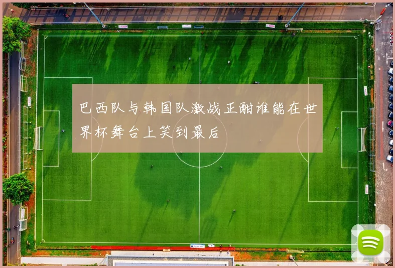 巴西队与韩国队激战正酣谁能在世界杯舞台上笑到最后