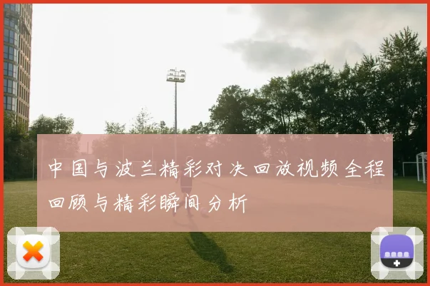 中国与波兰精彩对决回放视频全程回顾与精彩瞬间分析