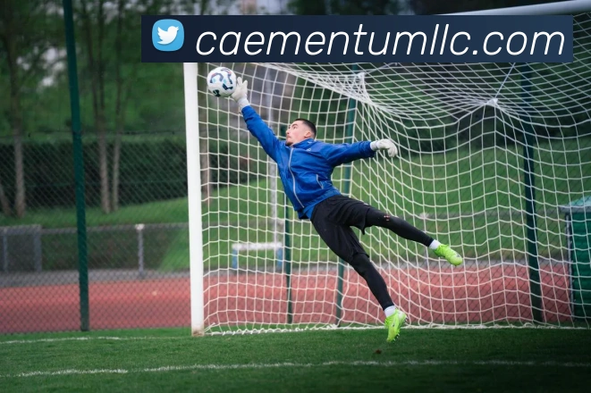 App 展示图